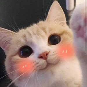 Meet your Posher, Ryann